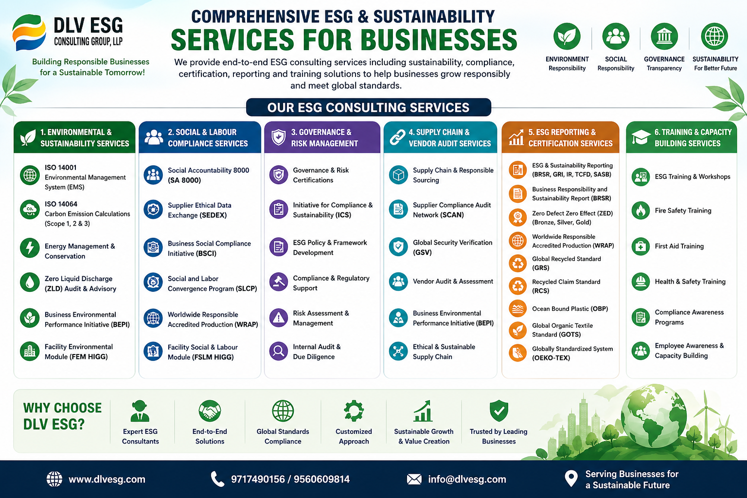 DLV ESG consulting services