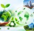 ISO 14001 Certificate At DLV ESG Consulting Services